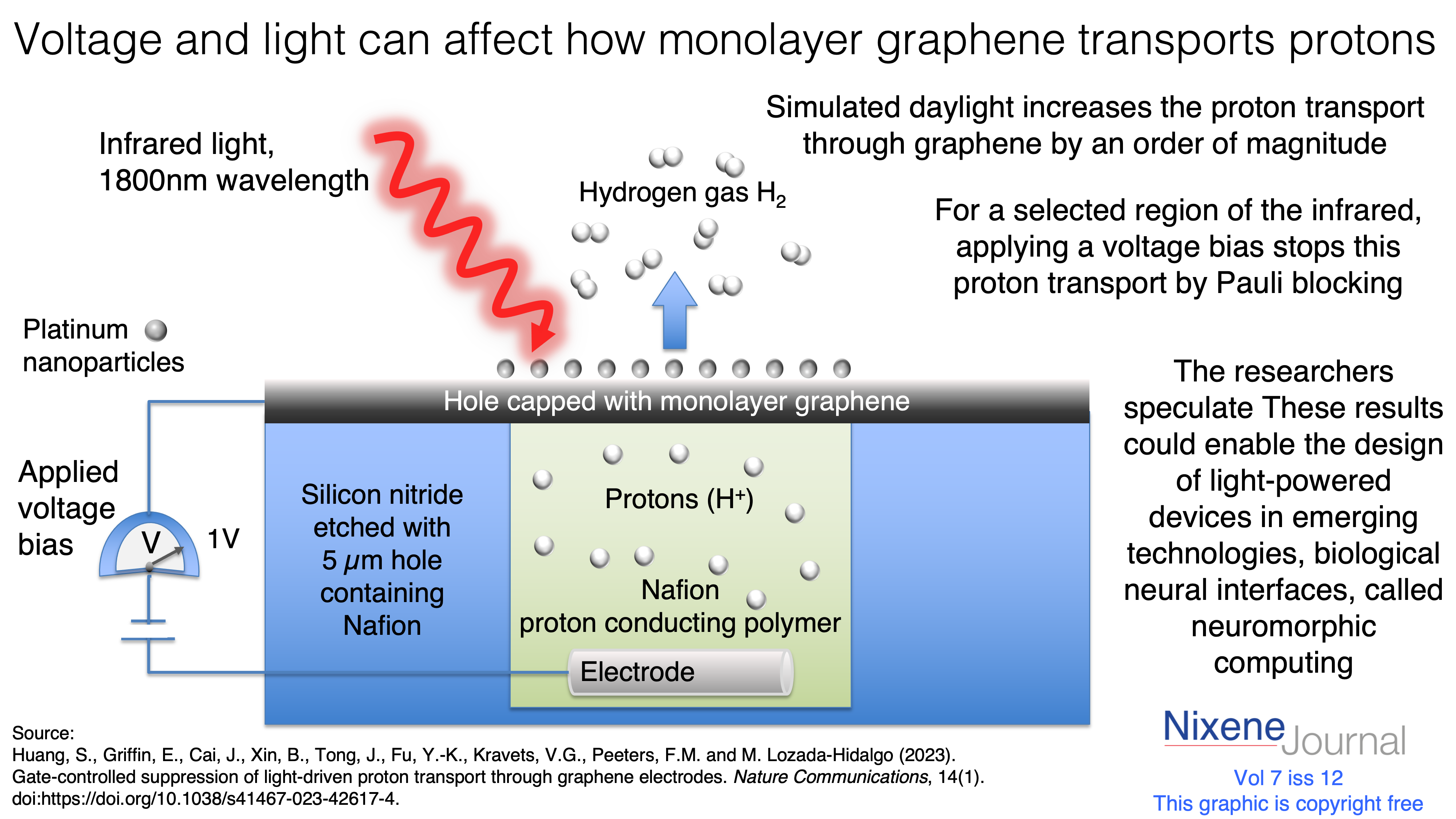 v7 i12 Voltage and light can affect how monolayer graphene transports protons