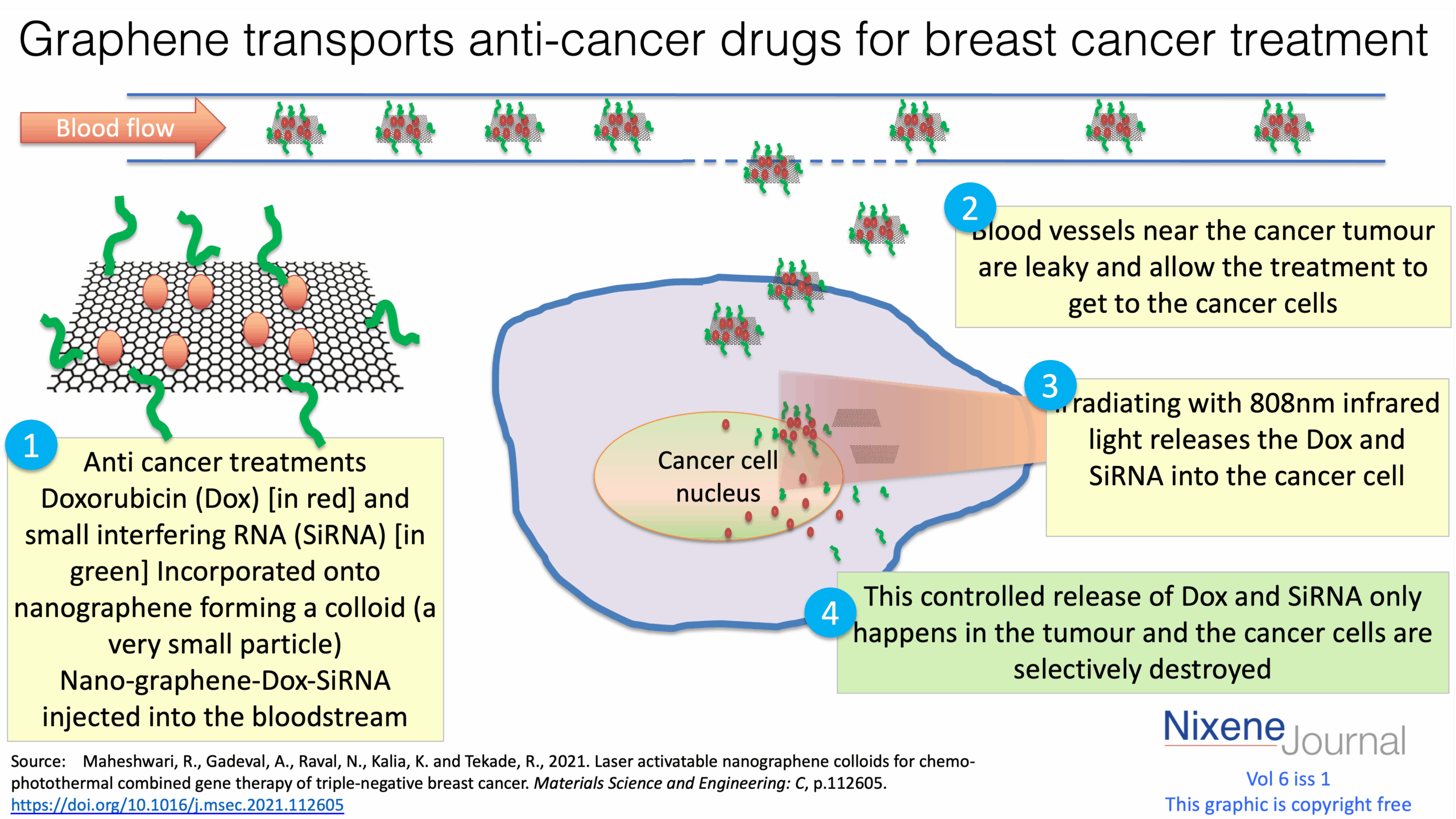 v6 i1 Graphene transports anti-cancer drugs for breast cancer treatment