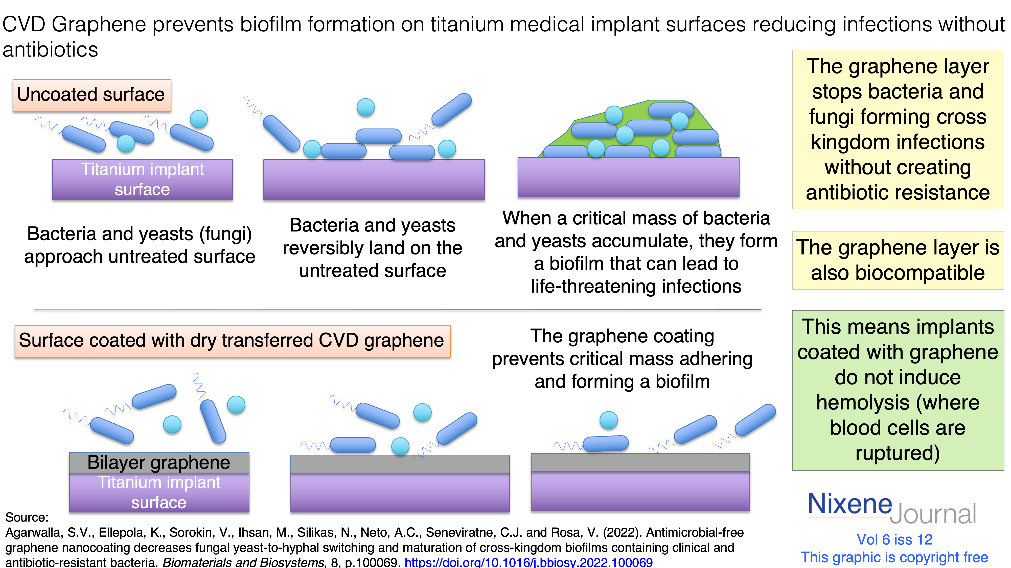 v6 i12 CVD Graphene prevents biofilm formation on titanium medical implant surfaces reducing infections without antibiotics