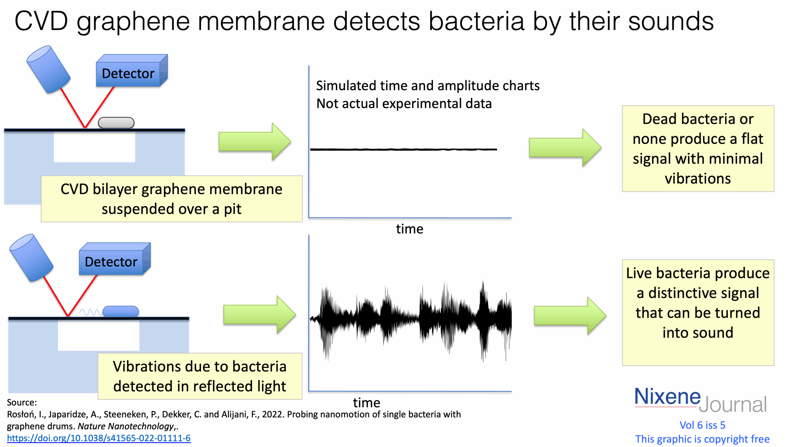 v6 i5 CVD graphene membrane detects bacteria by their sounds