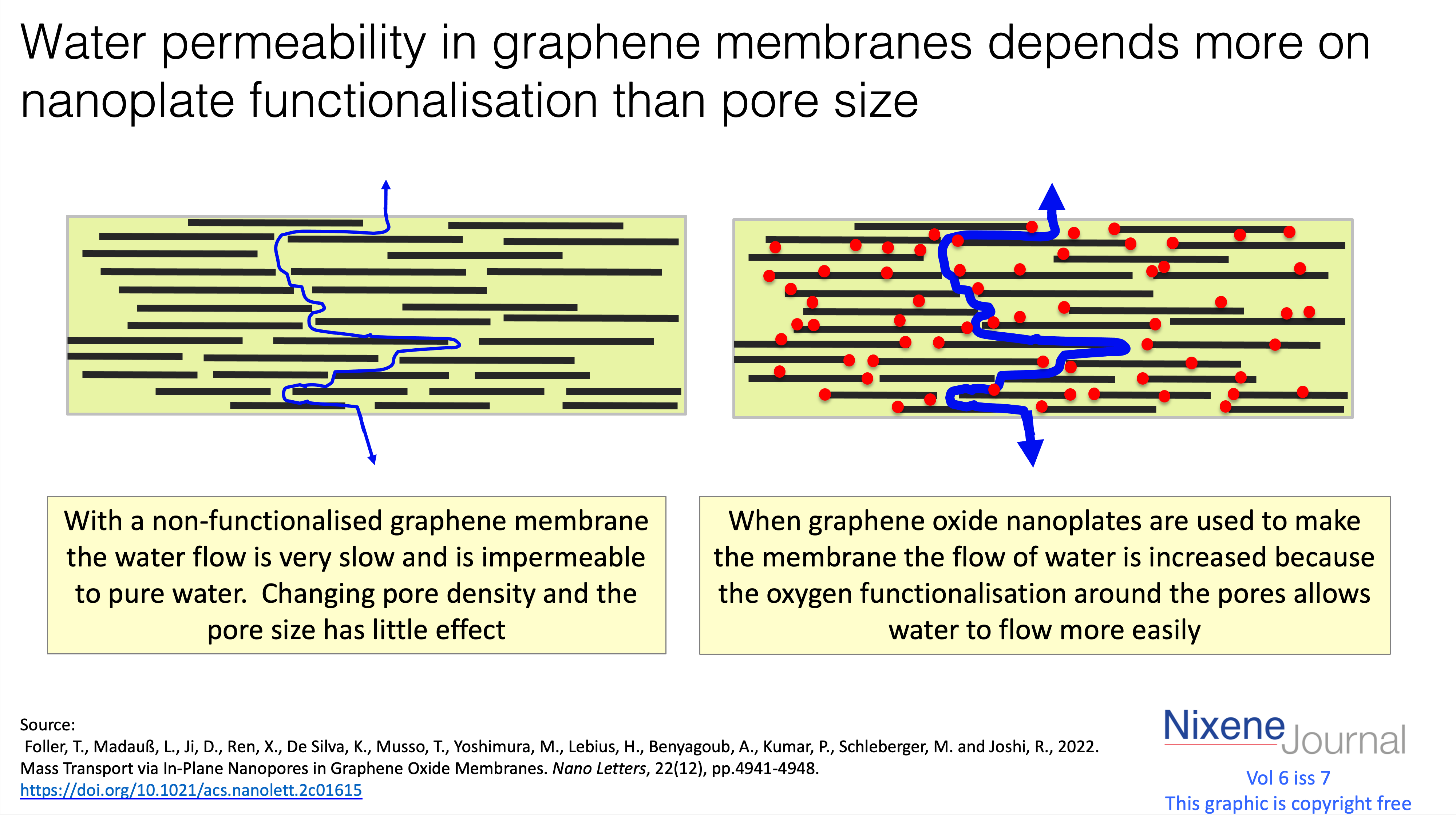 v6 i7 Water permeability in graphene membranes depends more on nanoplate functionalisation than pore size