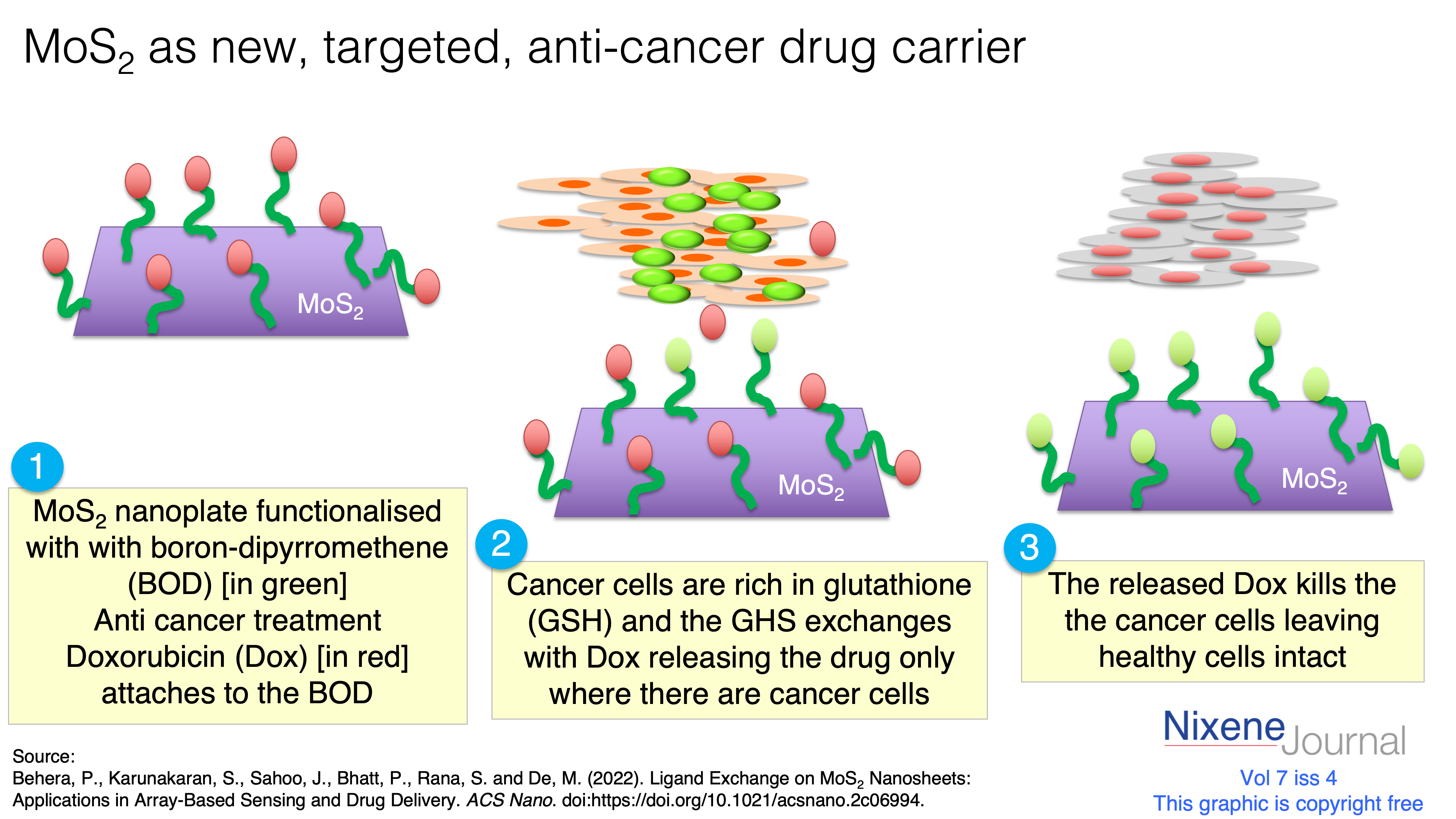 v7 i4 MoS2 as new targeted anti-cancer drug carrier