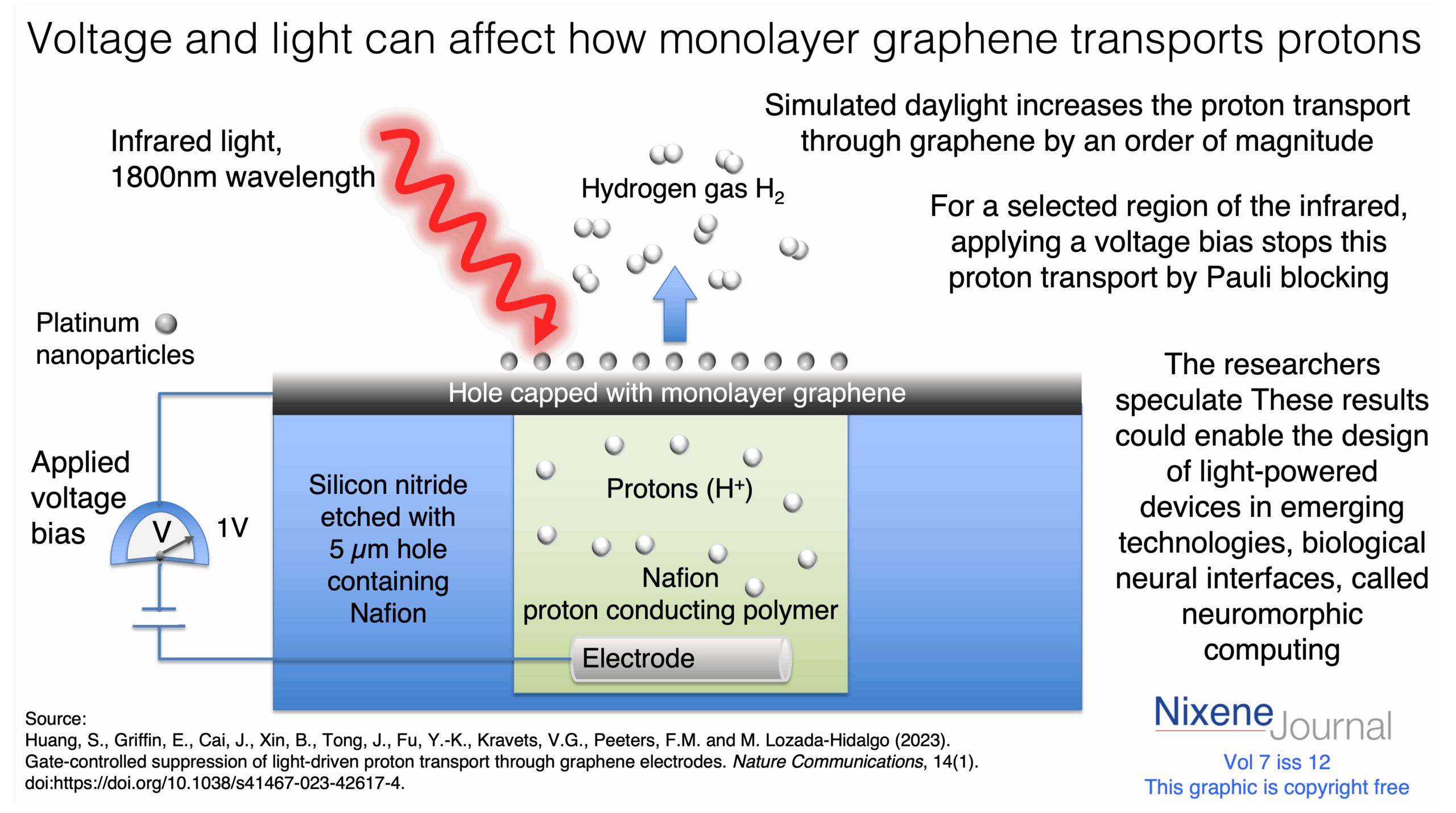 v7 i12 Voltage and light can affect how monolayer graphene transports protons