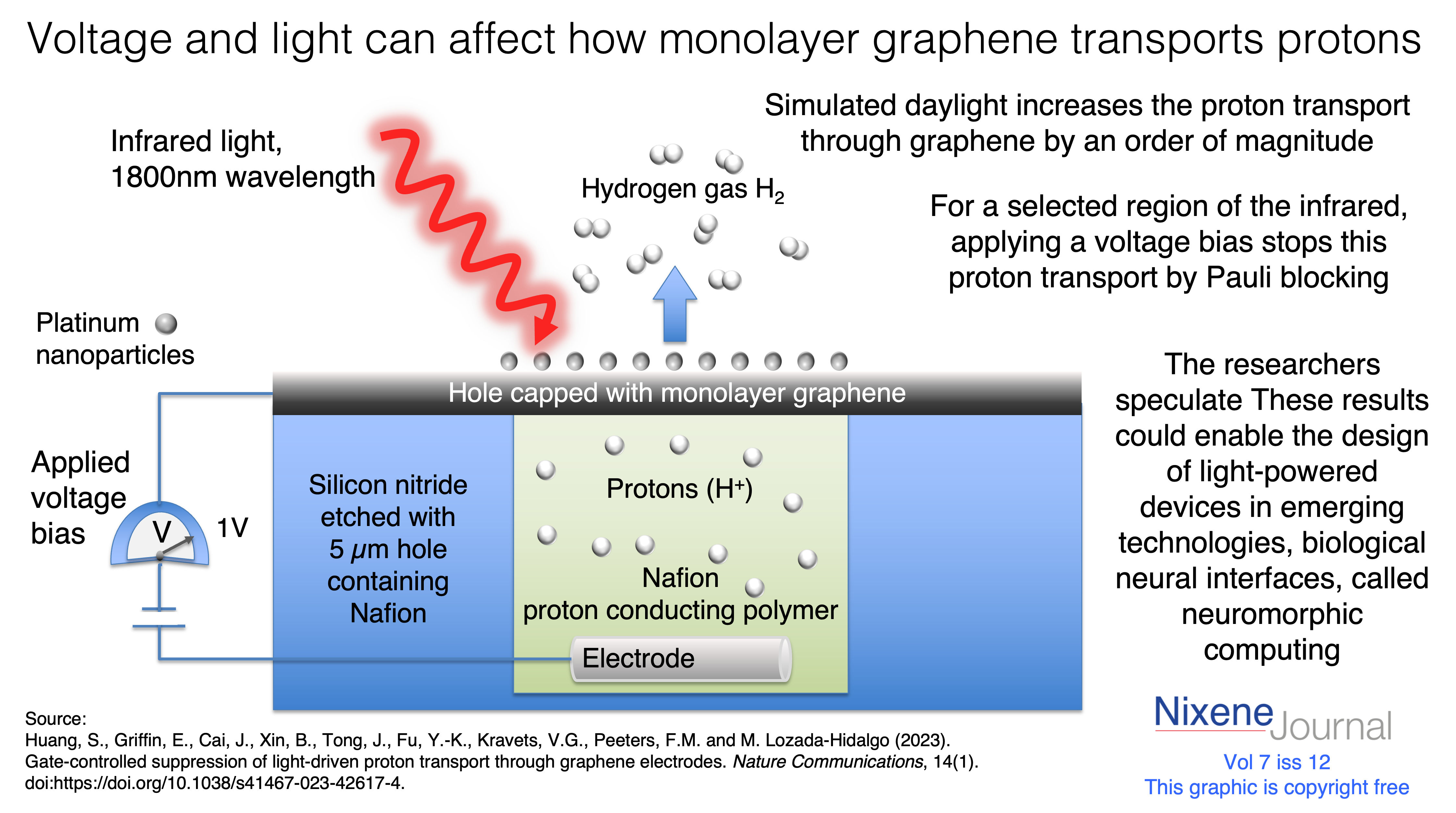 v7 i12 Voltage and light can affect how monolayer graphene transports protons