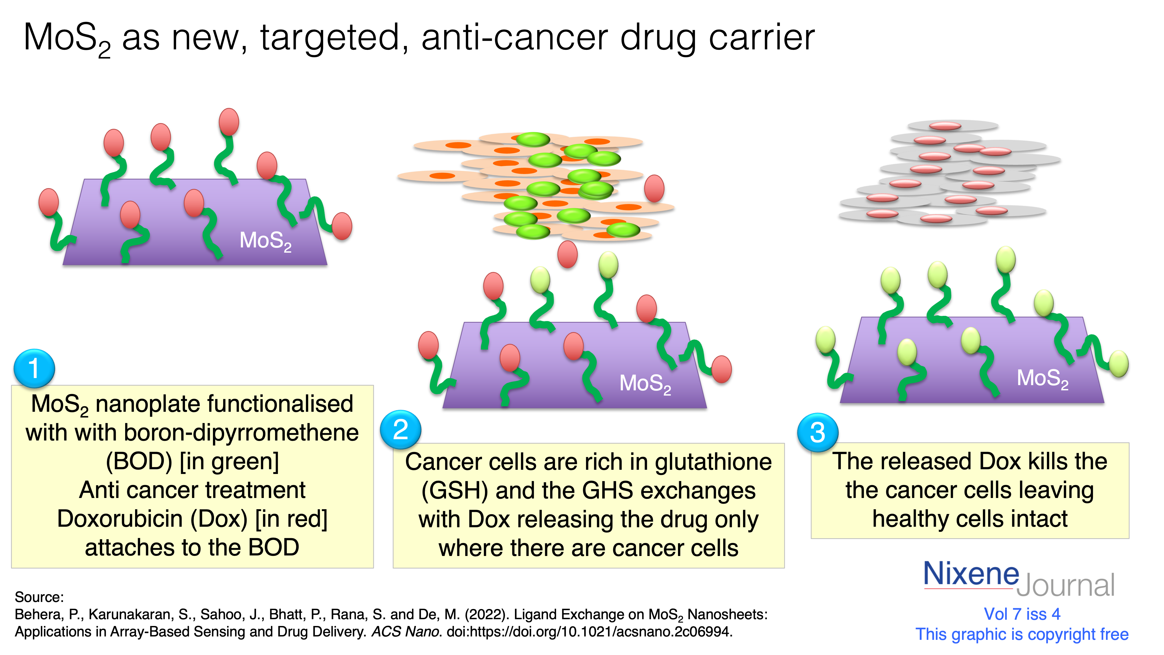 v7 i4 MoS2 anti cancer drug delivery