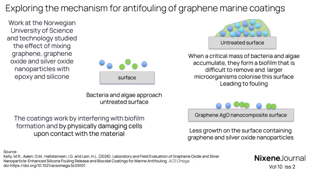 v10 i2 Exploring the mechanism for antifouling of graphene marine coatings