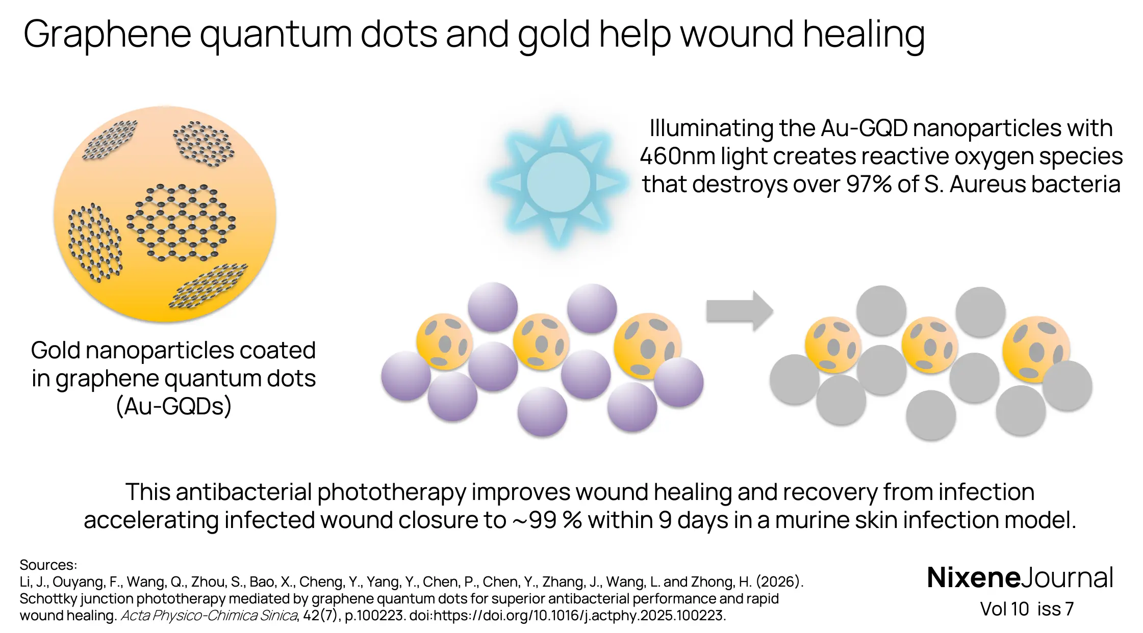 v10 i7 Graphene quantum dots and gold help wound healing